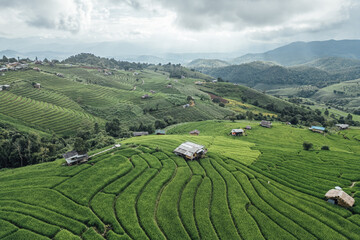 rice fields on a mountain and take photo in the Ban Pa Bong Piang, Mae Chaem District, Chiang Mai Province, northern Thailand in the rainy season.
