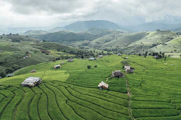 rice fields on a mountain and take photo in the Ban Pa Bong Piang, Mae Chaem District, Chiang Mai Province, northern Thailand in the rainy season.