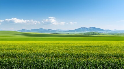 Verdant field of swaying wildflowers blanketing a picturesque countryside landscape