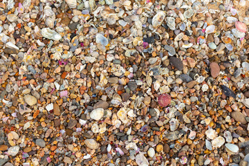 pebbles on the beach