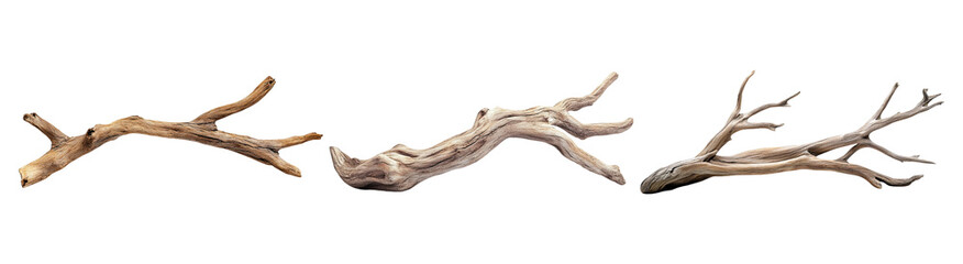 Obraz premium PNG Various Natural Wooden Branches for Decoration