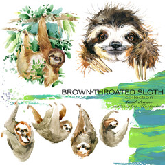 Watercolour set Sloth isolated on a white background. © Елена Фаенкова