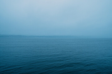 outdoor coastal view and forest in misty weather