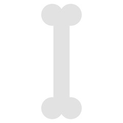 bone flat illustration