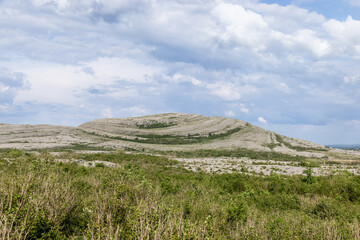 Detailed image of Burren National Park unique limestone formations in Ireland, showing the striated rock surfaces and scattered greenery