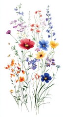 Beautiful seamless floral water color pattern Set, watercolor wild flowers, leaves and grass,Collection botanic garden elements. Vector isolated illustration in rustic or vintage style,copy space.