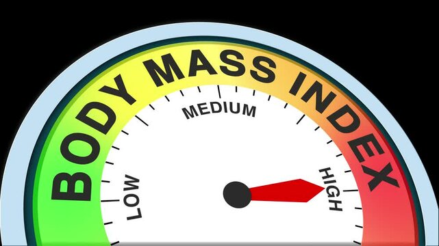 Body Mass Index Level Text or Word Low and Medium to High Meter Concept Animation on Black Background and Blue Screen