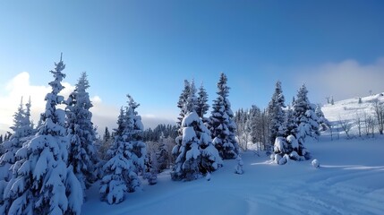 Obraz premium Impressive winter morning in mountains with snow-covered fir trees. Colorful outdoor scene, Happy New Year celebration concept. Art style post-processed photos.