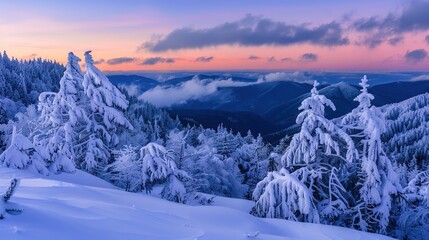 Obraz premium Impressive winter morning in mountains with snow-covered fir trees. Colorful outdoor scene, Happy New Year celebration concept. Art style post-processed photos.