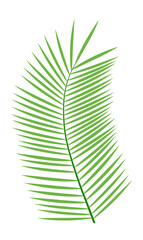 Green vector icon - decorative palm leaf
