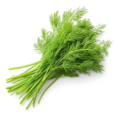 Macro Shot of Perfect Fresh Dill Herb on White Background