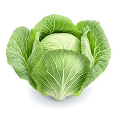 Fototapeta premium Macro Shot of Fresh Organic Green Cabbage Vegetable on White Background