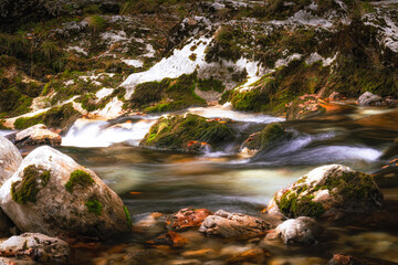 Fototapeta premium Tranquil river flowing over moss-covered rocks in a serene forest during a sunny day