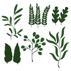 art of doodle Tropical leaves. Cartoon jungle exotic palm plants and flowers