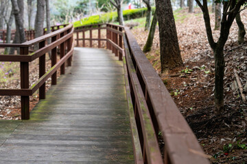 Obraz premium wooden walkway in the forest at the seaside