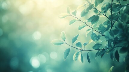 Fototapeta premium Dreamy Green. Fresh Plant Branch with Bokeh Light and Tranquil Vibes