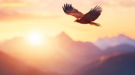 Naklejka premium Eagle soaring above mountainous landscape during a vibrant sunrise.