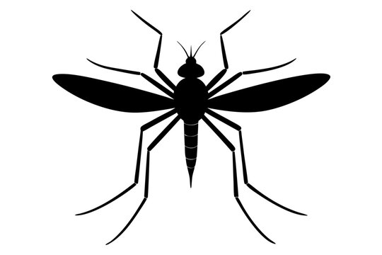 recommend clip art: Mosquito Silhouette | isolated vector silhouette illustration on white background