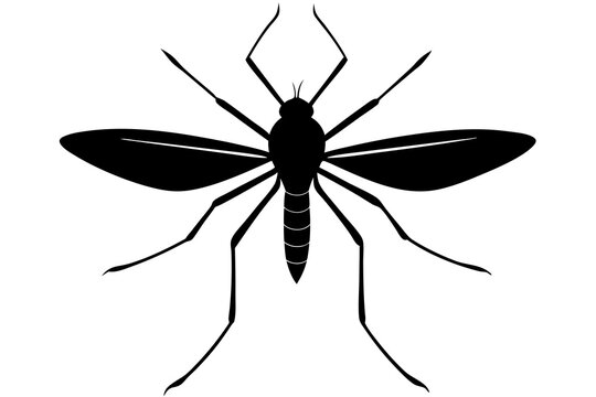 recommend clip art: Mosquito Silhouette | isolated vector silhouette illustration on white background