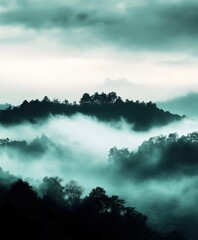 Fototapeta premium Misty Forest Landscape Serenity Nature Mountains Fog Tranquility Shadows Pine
