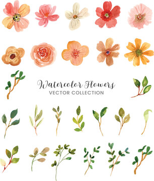 Watercolor Floral Vector Collection Set elements