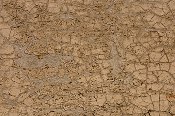 Cracked earth surface under bright sunlight showcases drought conditions in a rural area