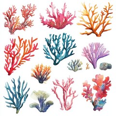 Watercolor Coral Set. Underwater Life of Coral Reef in Tropical Ocean