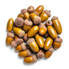 Acorns pile isolated on white background