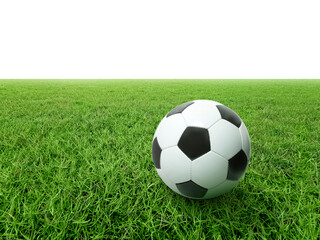 Fototapeta premium Soccer ball on grass field youth academy practice, football sport and exercise concept
