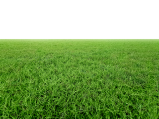 Green grass field, transparent background