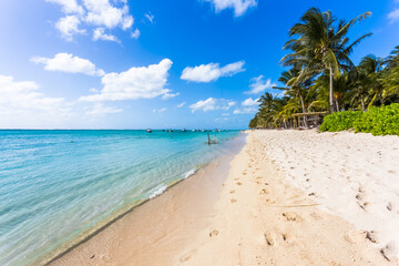 Fototapeta premium Plage du Morne Brabant, Île Maurice 