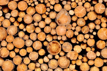 wood, firewood, timber, tree, stack, pile, cut, lumber, woodpile, forest, nature, logs, texture, trunk, brown, wooden, trees, forestry, pattern, stacked, natural, bark, material, logging, background