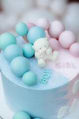 Cake for gender party. Decorations for determining the gender of the child. Blue and pink colors of decor. Photo zone in the nature in the forest. Boy or girl?