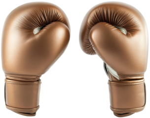 Bronze Boxing Gloves, A Symbol of Victory, Ready to Strike
