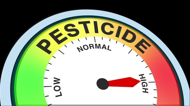 Pesticide Level Text or Word Low and Medium to High Meter Concept Animation on Black Background and Blue Screen