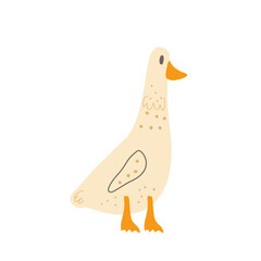 Goose isolated on white background. Poultry character. Vector hand drawn flat illustration