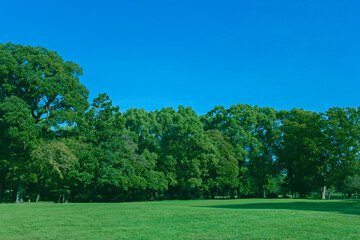 Green Park