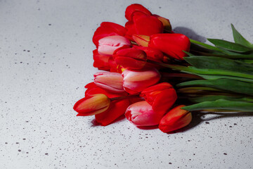Natural bouquet of spring tulips. Red tulips on a smart white background. Valentine's day, mother's day, tenderness day, birthday concept. Soft selective focus. Spring scene. Greeting card.