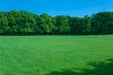 Obraz premium Green Park