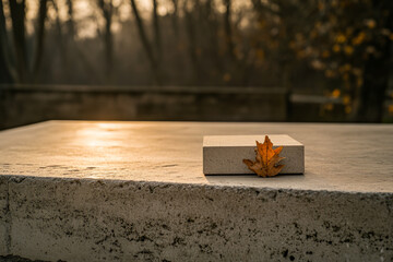 A single autumn leaf rests on a concrete block during sunset in a quiet park setting