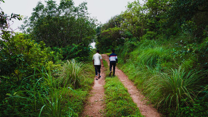 Fototapeta premium couple walking in the woods