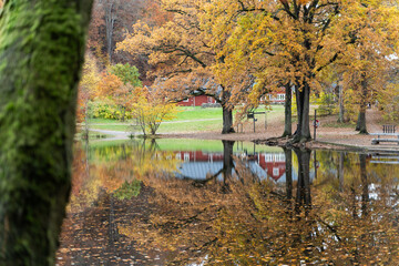 S?der?sen national park during autumn in southern Sweden. Nature background. © Elena Sistaliuk