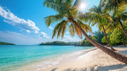 Tropical Beach with Calm Turquoise Waters and Palm Trees