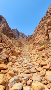Rocky canyon landscape under a clear blue sky, showcasing natural beauty and serenity.