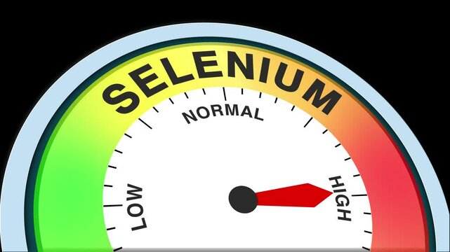 Selenium Level Text or Word Low and Medium to High Meter Concept Animation on Black Background and Blue Screen