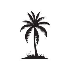 Black palm, coconut trees isolated on white background