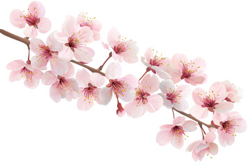 Obraz premium Delicate pink cherry blossoms in full bloom on a branch, showcasing the beauty of nature in springtime.