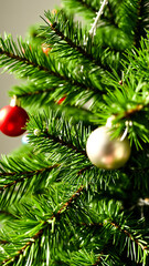 close- a pine branch adorned with ornaments