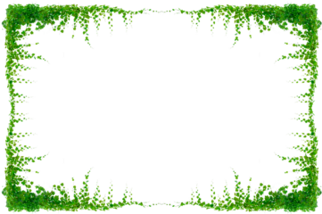 vine frame leaf vine circle Isolate on transparent background PNG file