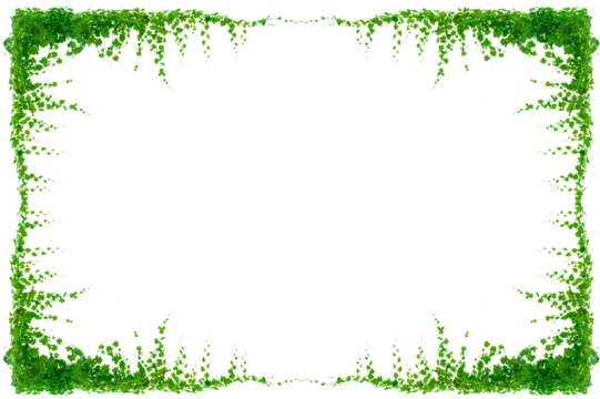 vine frame leaf vine circle Isolate on transparent background PNG file